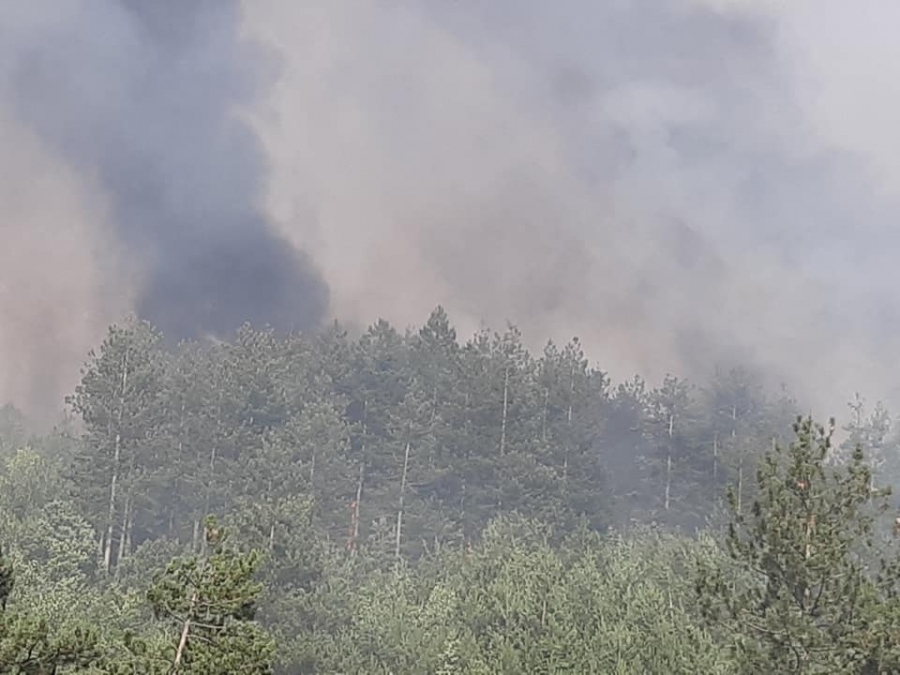 Частично бедствено положение в спа столицата, кметът и председателят на ОбС участват в гасенето на пожари